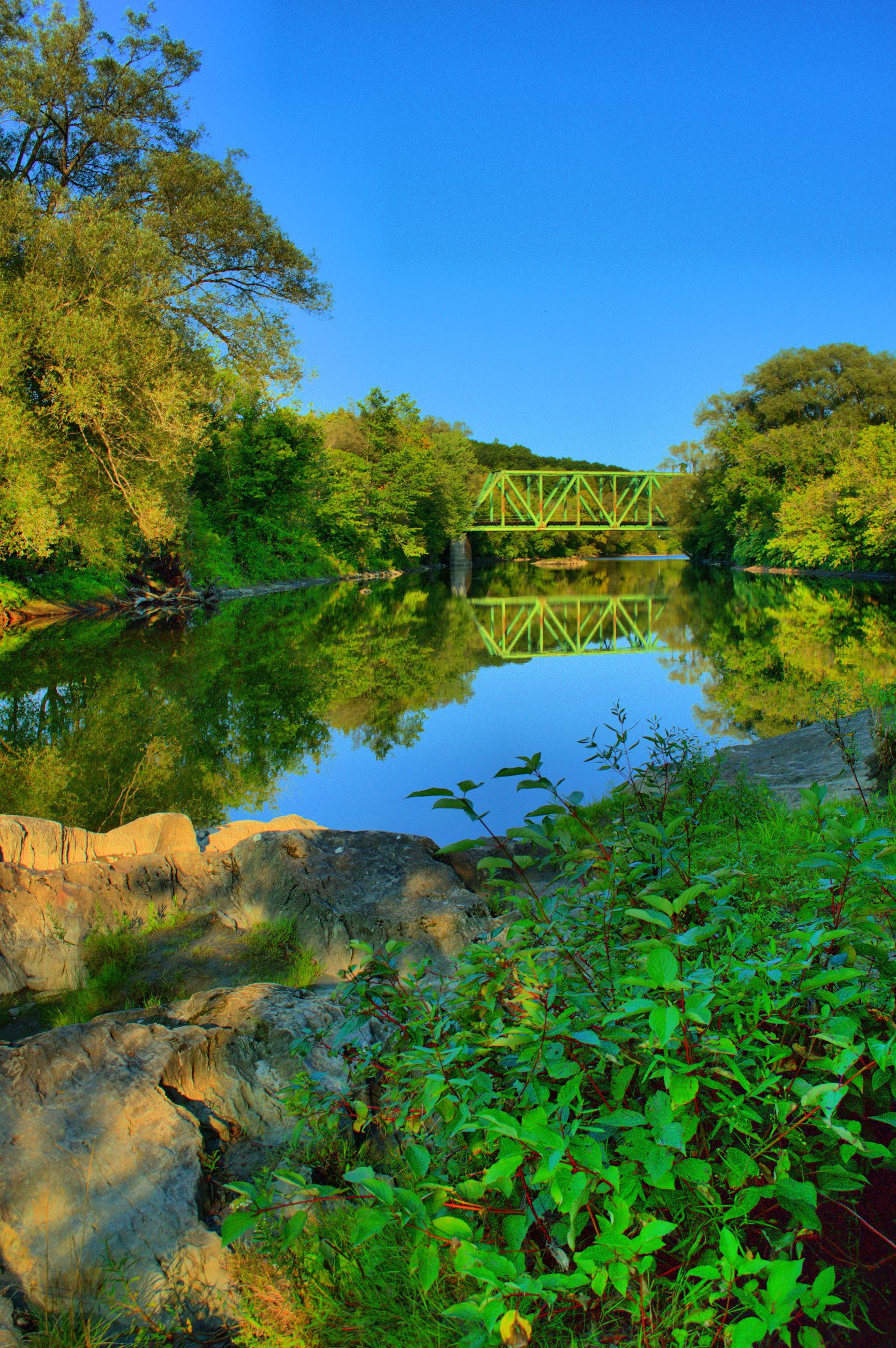 Trees along the river, Photo by George Anderson